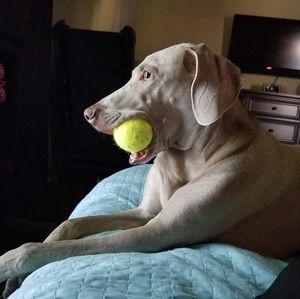 Meet your Posher, Leanne